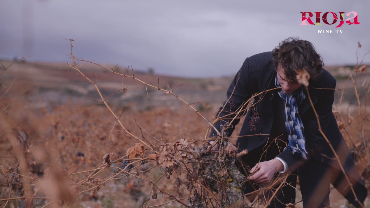 Borja Ripa, director técnico de Bodegas Manzanos