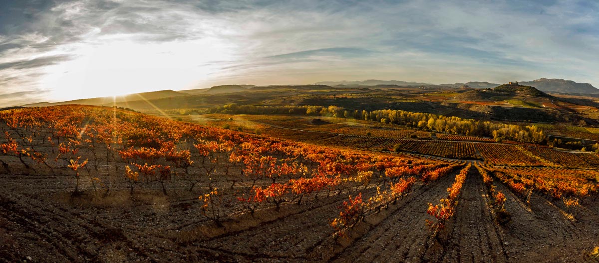 Rioja-Alta-San-Asesio-S-Vicente-09-1200