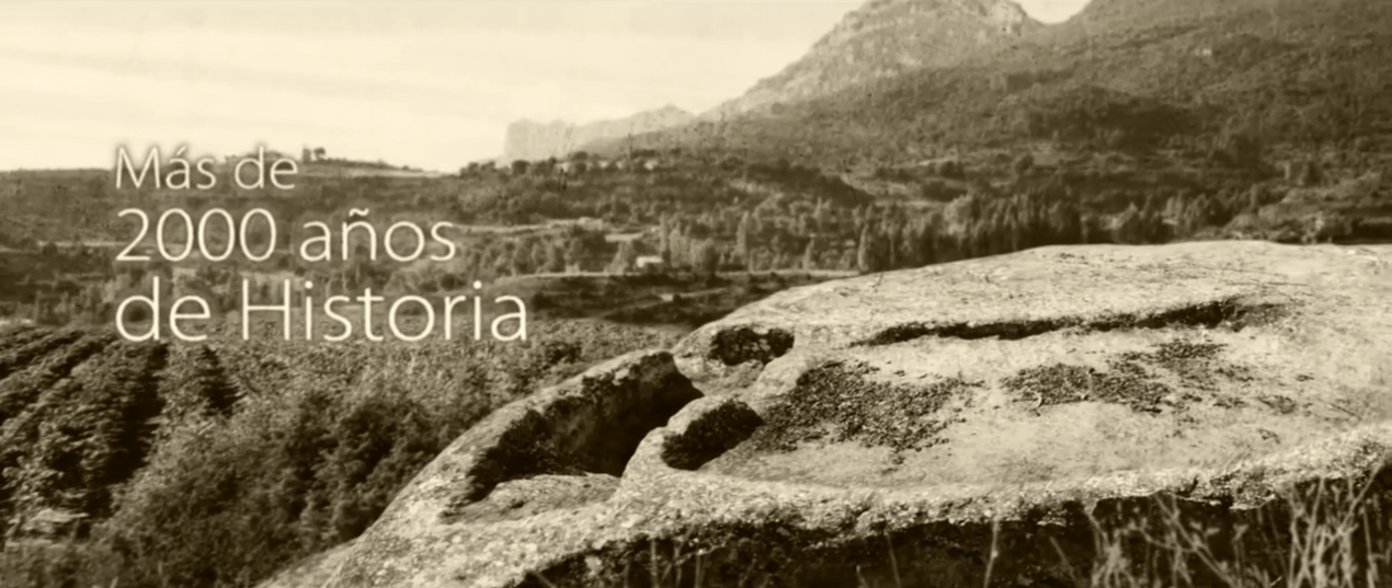 DOCa Rioja: our history