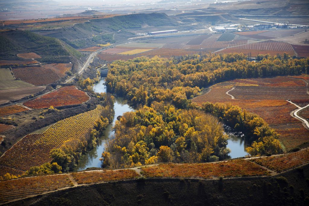 Rioja Alta Consejo Regulador Doca Rioja Riojawine 6128