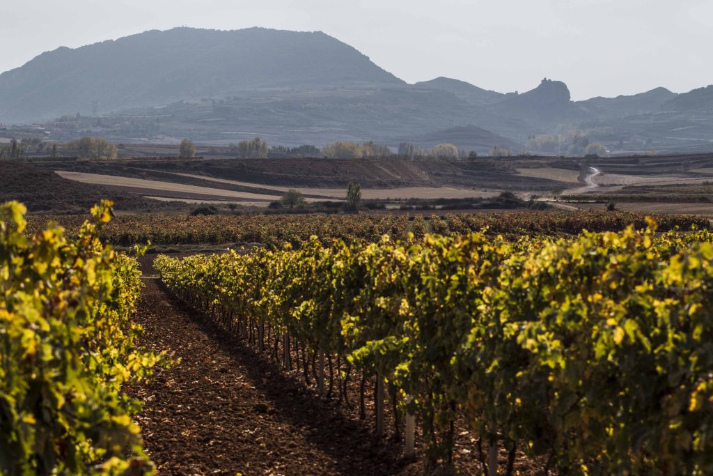 Риоха. Долина Риоха. Риоха Испания. Риоха (Rioja). Риоха (винодельческий регион).