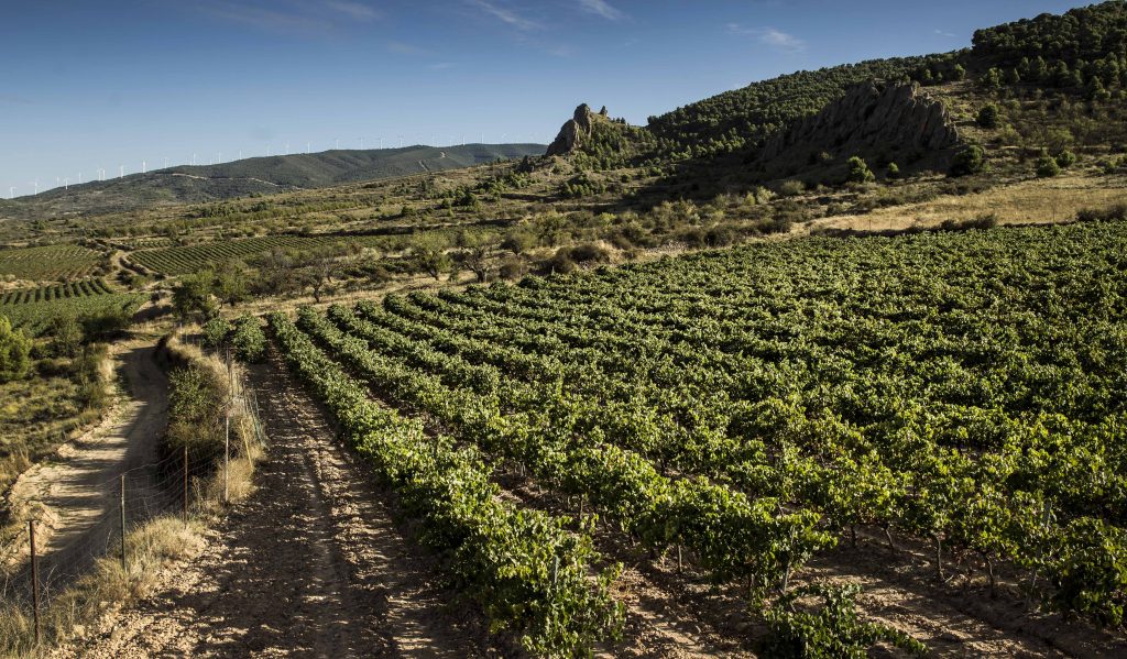 Rioja Oriental Consejo Regulador Doca Rioja Riojawine 9544