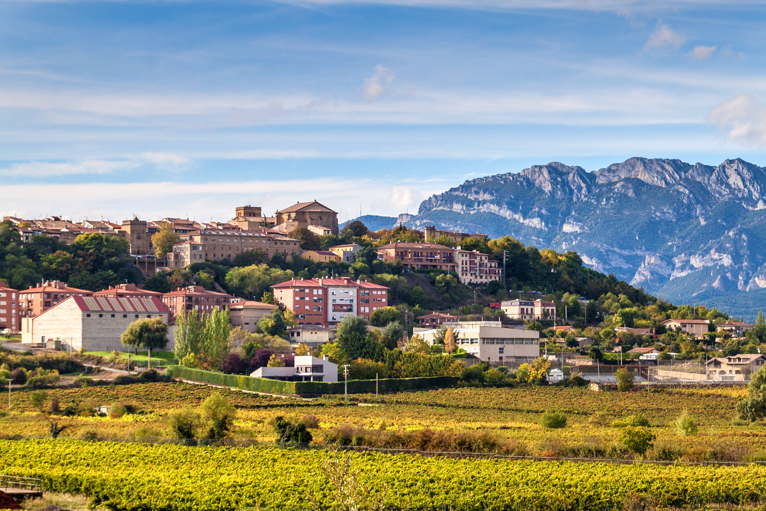 áreas Rioja: Laguardia