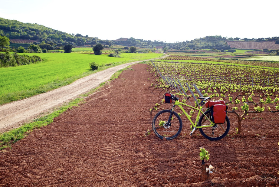Rioja landscapes