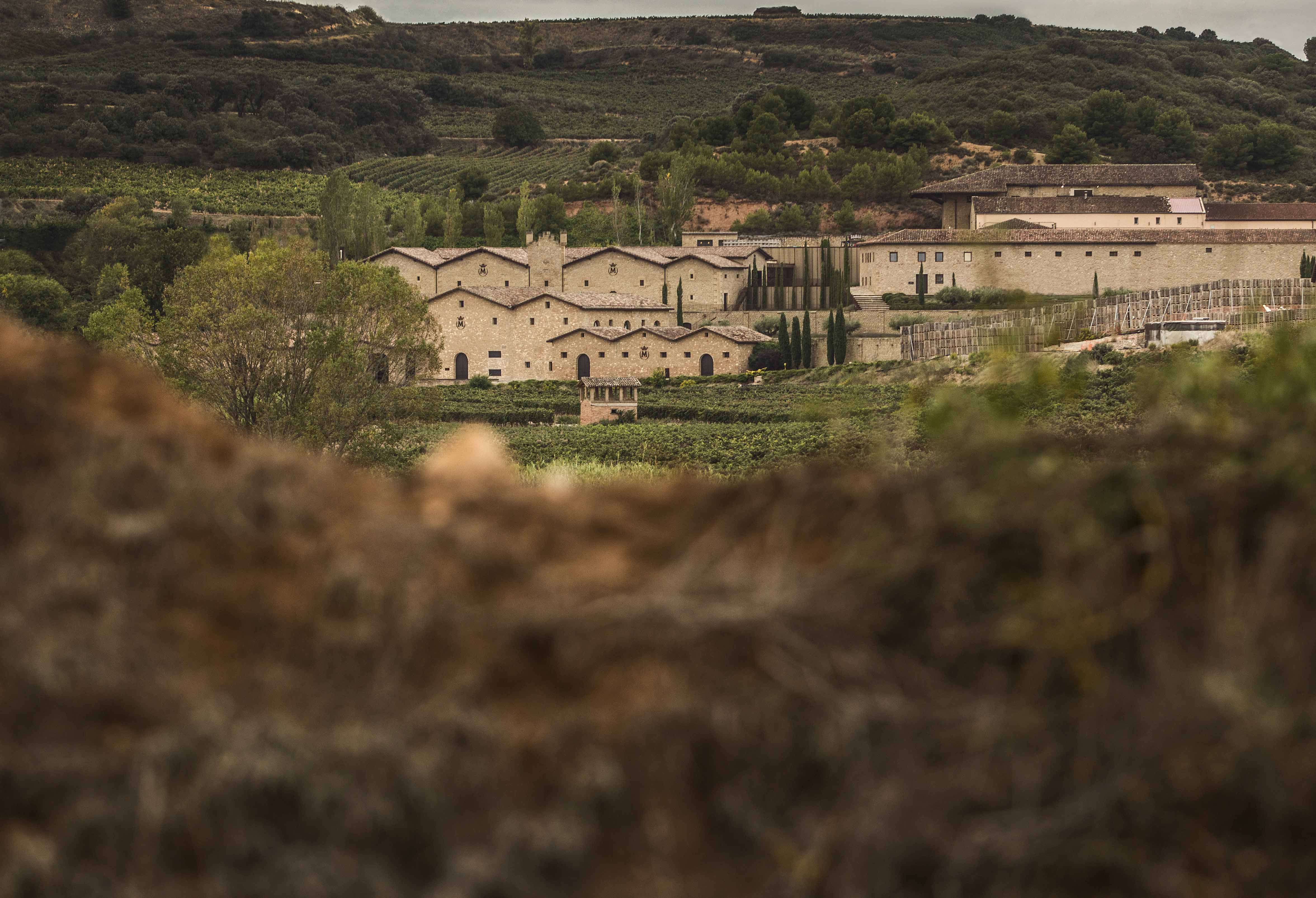 Rioja vineyards
