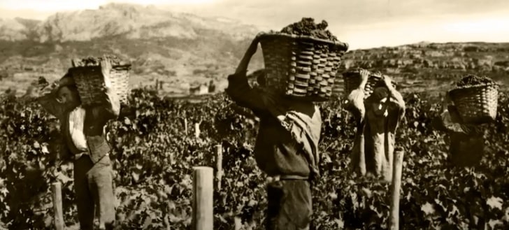 recolectando en el pasado en Rioja