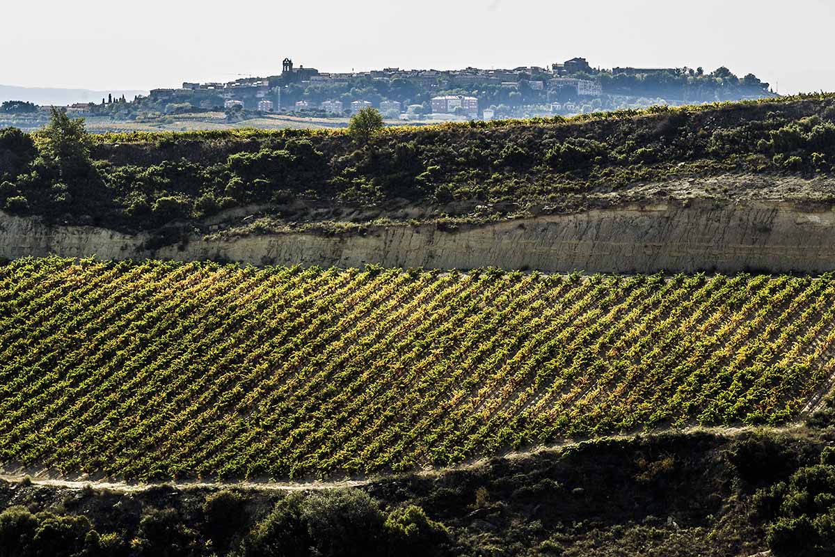 Ruta del Vino Rioja Alavesa