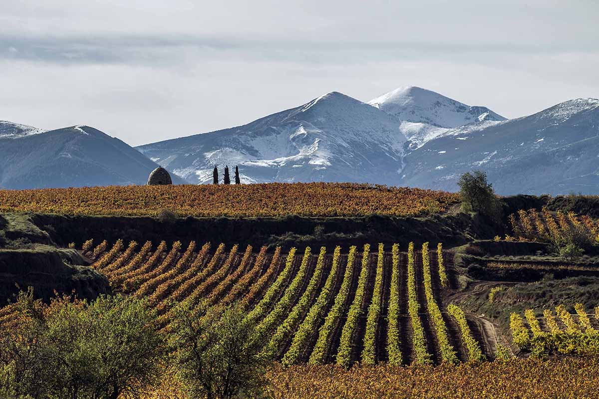 Ruta del Vino Rioja Alta