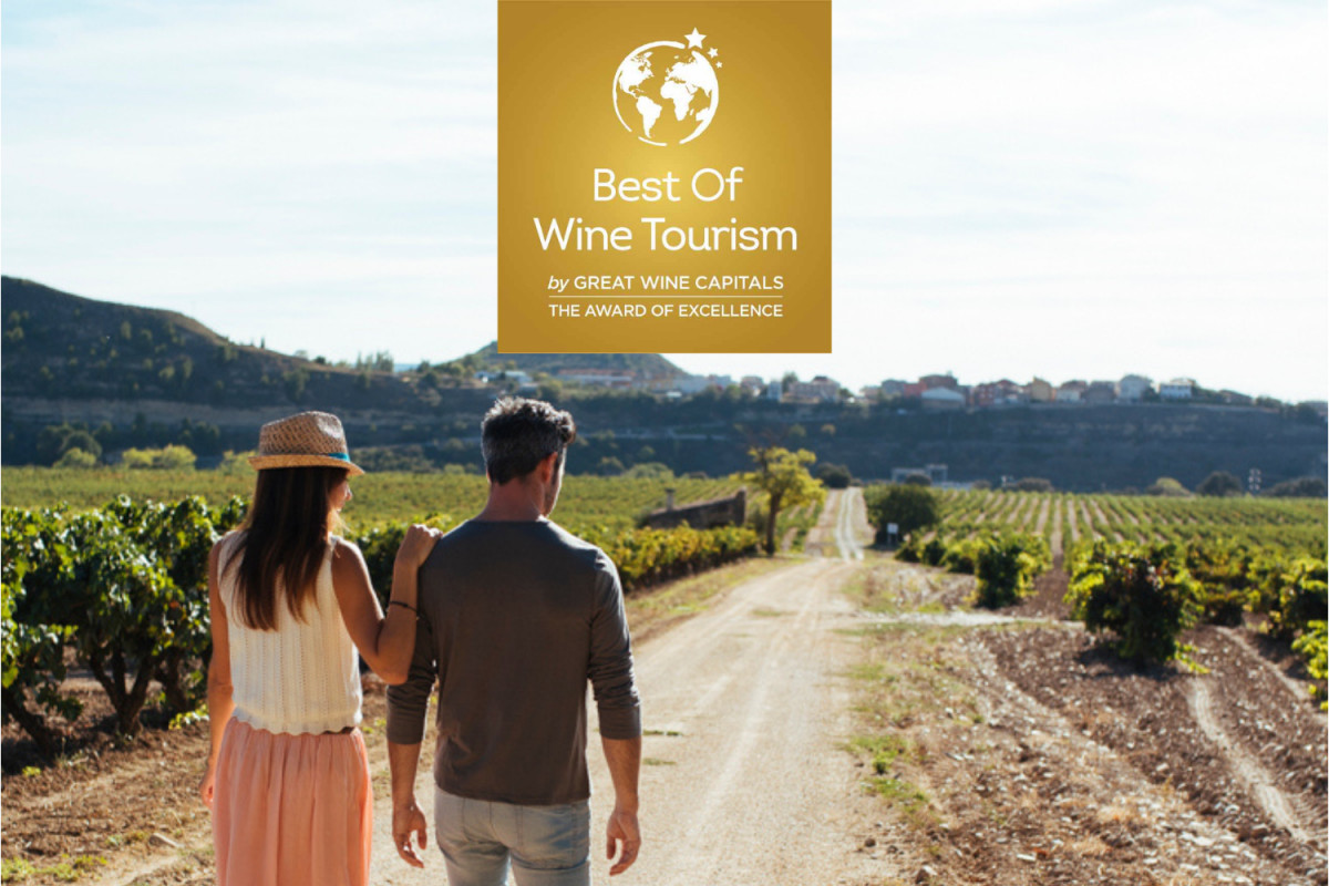 Best Wine Tourism