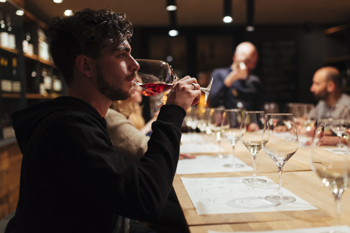 Cata de vinos
