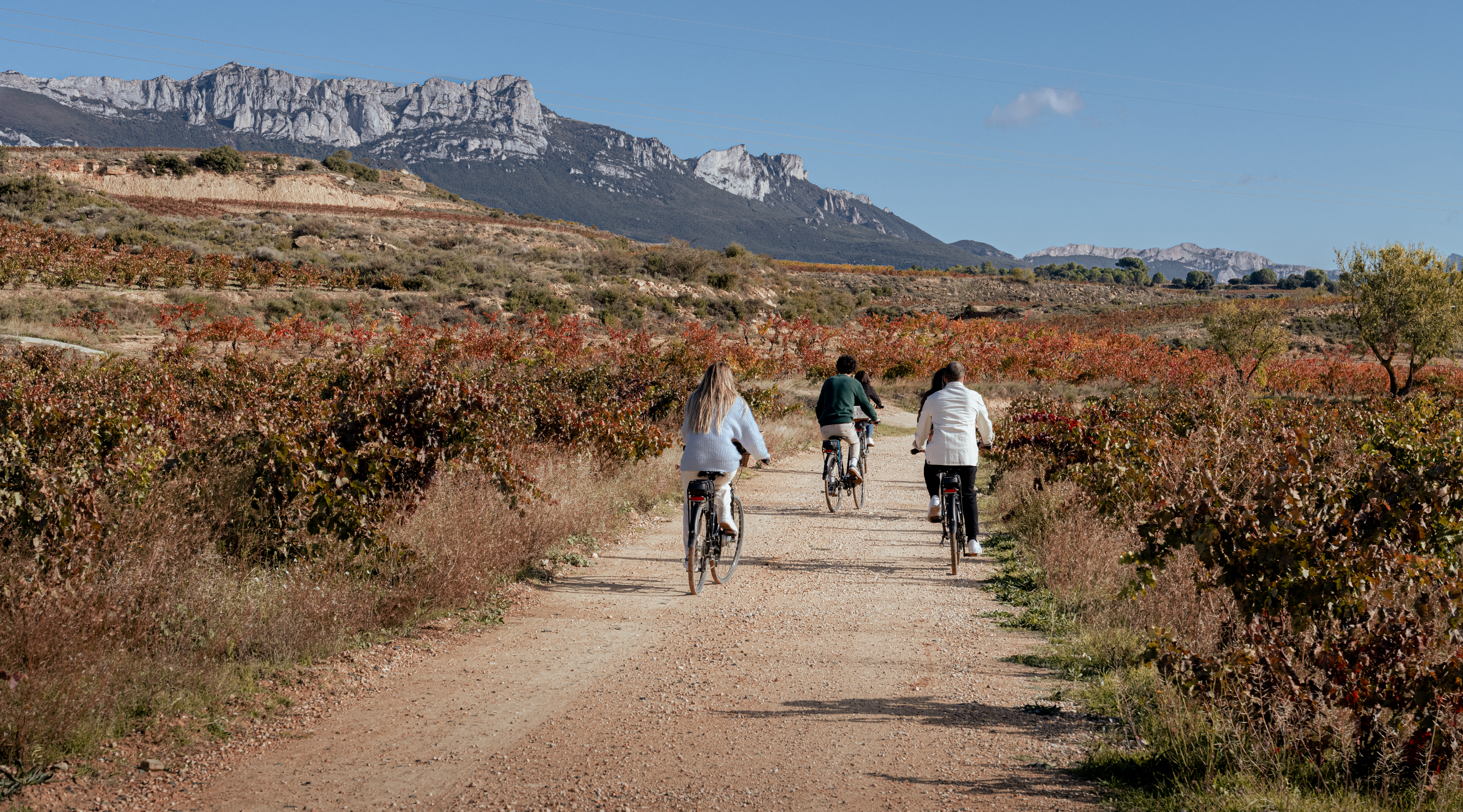 Enoturismo en Rioja